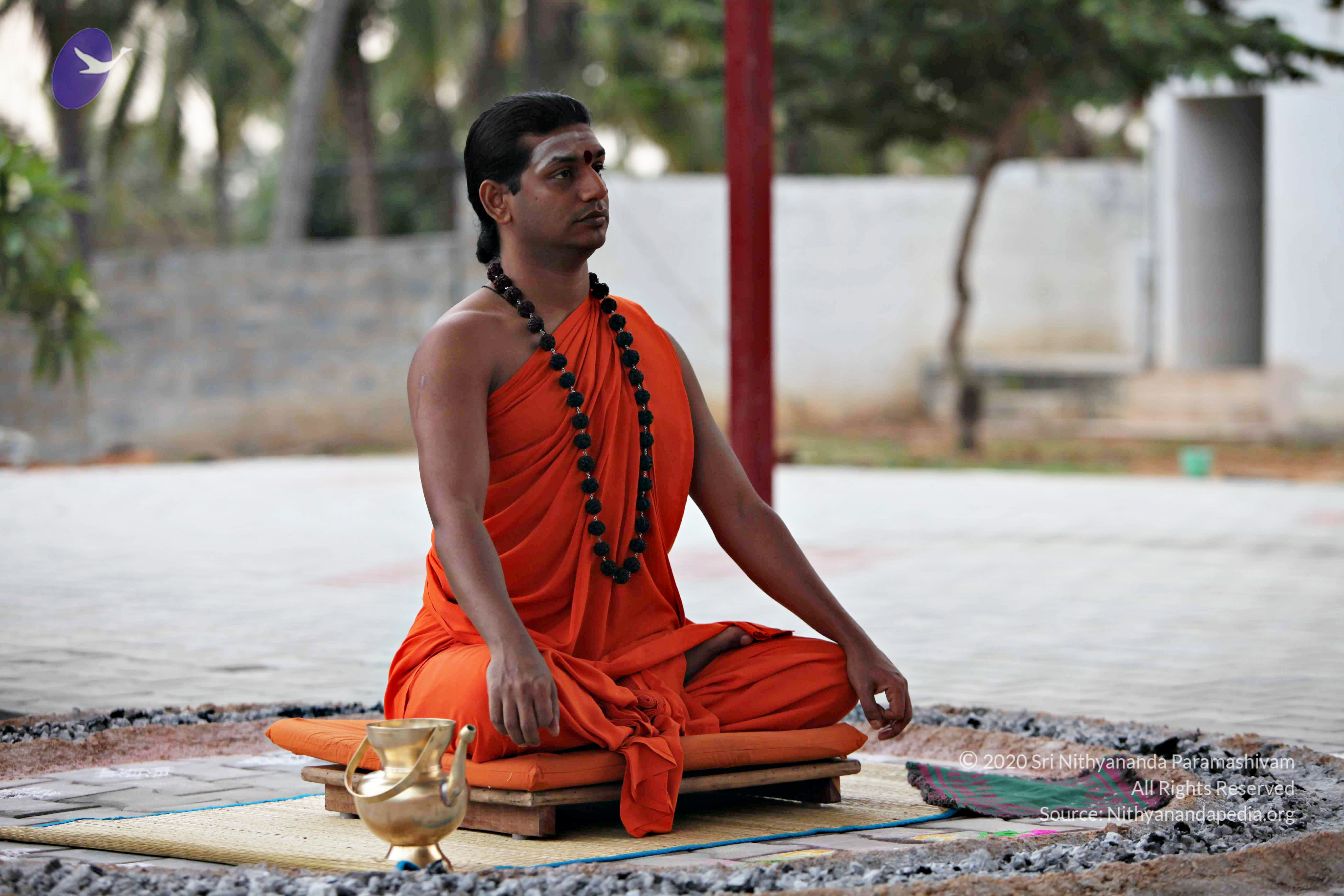 20110225_Photo_1046_IMG_0829_CMP_WM